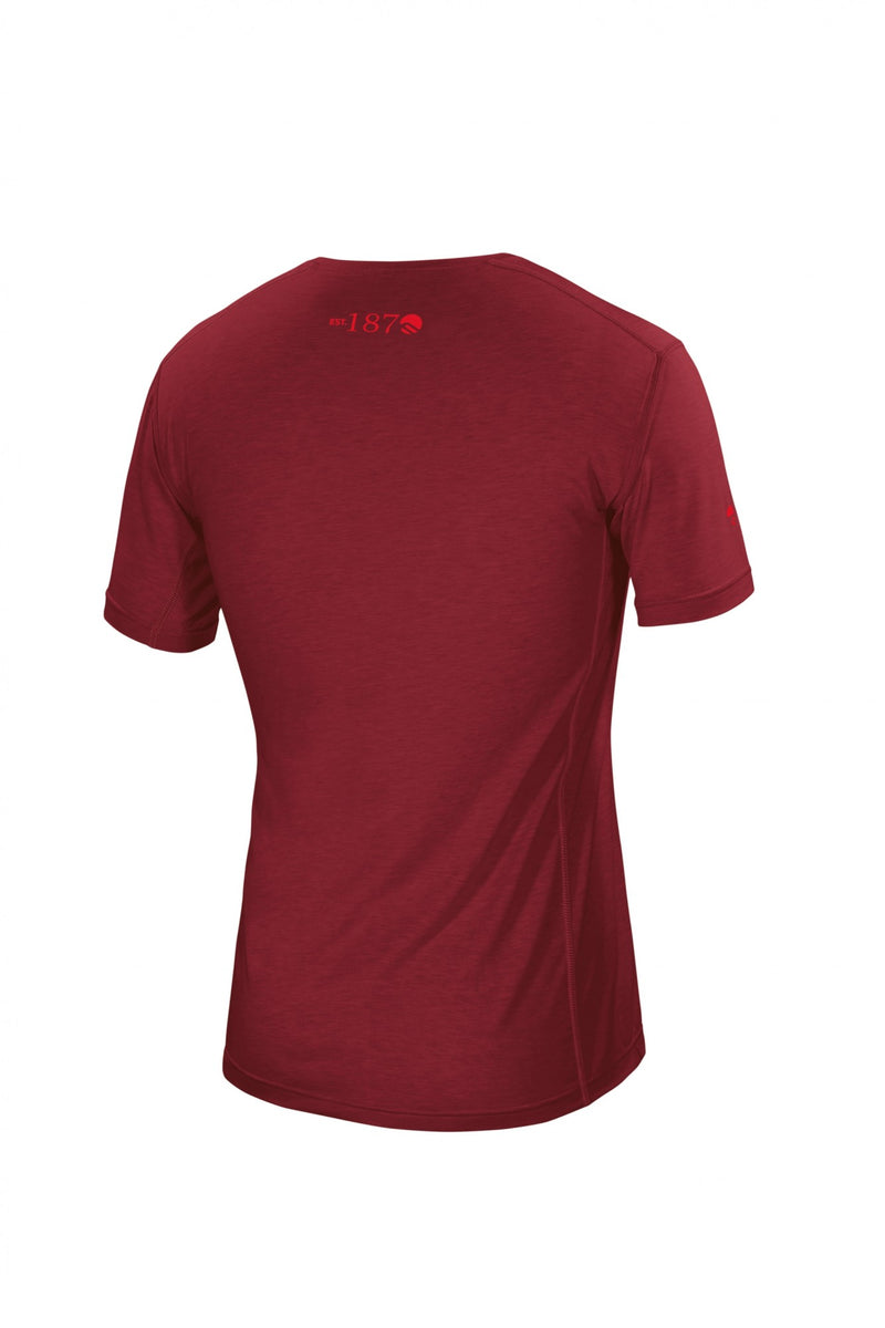 Carica immagine in Galleria Viewer, Ferrino Yoho t-shirt tecnica uomo Bordeaux 
