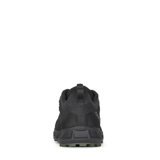 rapida evo gtx 