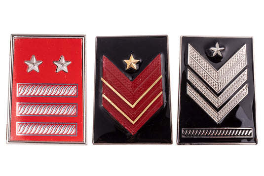 gradi metallo carabinieri qualifiche speciali 