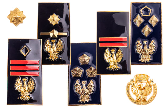 Gradi vite metallo Polizia di Stato 
