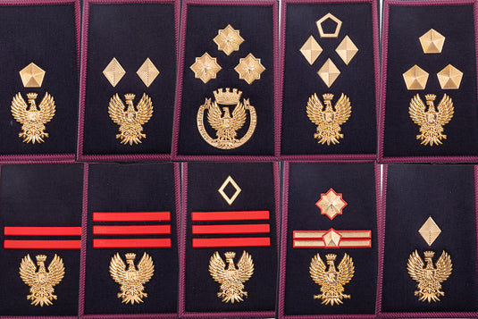GRADI TUBOLARI Polizia di  Stato (coppia) 