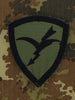 Embroidered Shoulder Patches FOLGORE olive green