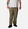 COLUMBIA Silver Ridge™ Utility Convertible Pants Plus Size Stone Green