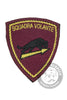RANKS Embroidered badge flying squad State Police