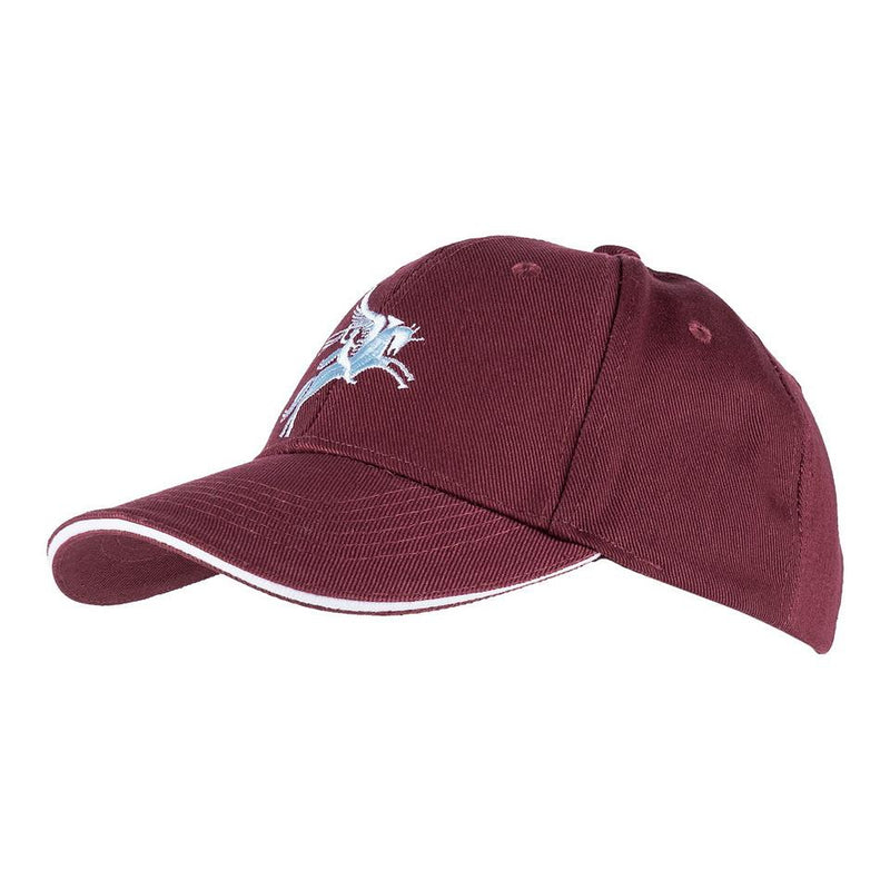 Carica immagine in Galleria Viewer, Cappellino baseball ricamato PEGASUS 
