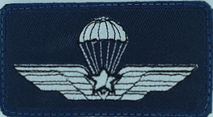 Ricamo brevetto paracadutista militare con stella 8,5x4,5 cm blu\blu 