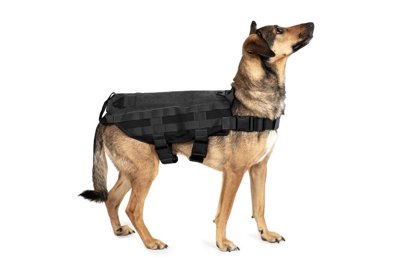 Load image into Gallery viewer, tactical dog vest, per unita' cinofile, cani poliziotto, cani da soccorso 
