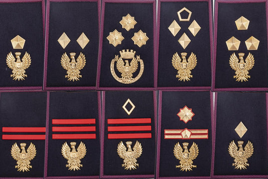GRADI TUBOLARI Polizia di  Stato (coppia) 