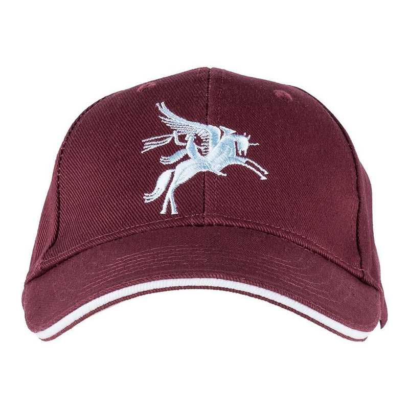 Carica immagine in Galleria Viewer, Cappellino baseball ricamato PEGASUS 
