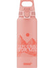 SIGG 1L WMB Pathfinder Bottle