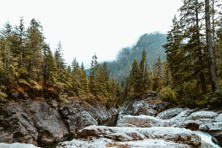 Immerse yourself in nature